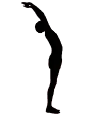 Сурья намаскар - приветствие солцу йога