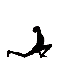 Сурья намаскар - приветствие солцу йога