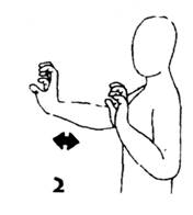 комплекс упражнений